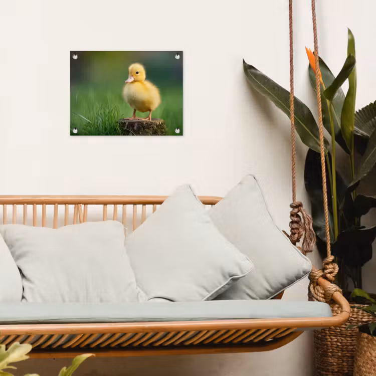 Tuinposter - Kuiken - Eend - Geel - Gras — 5