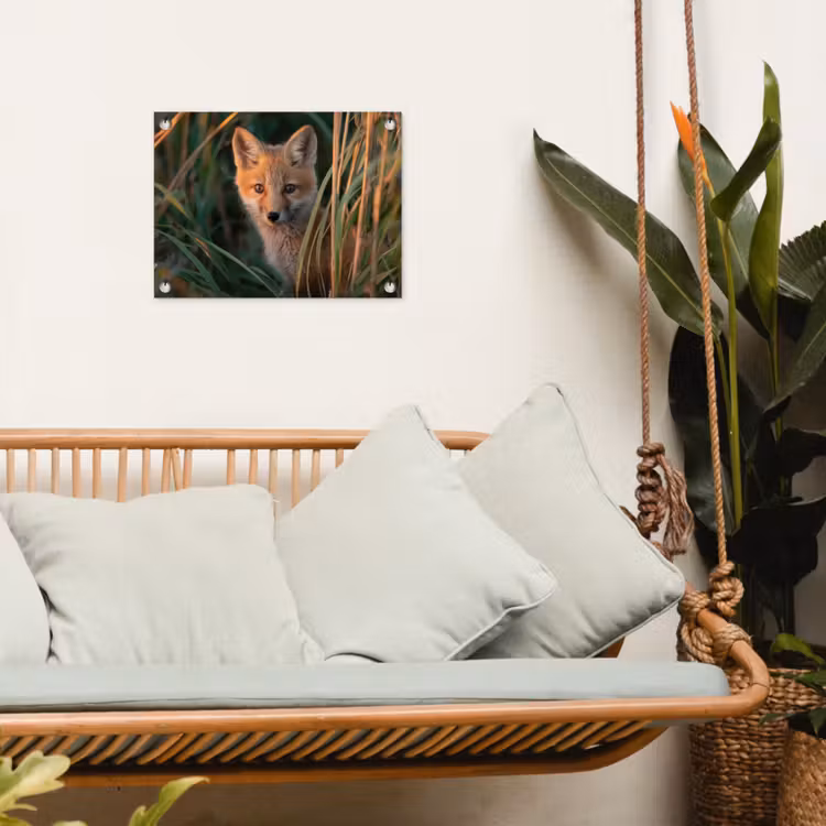 Tuinposter - Vos - Oranje - Gras — 5