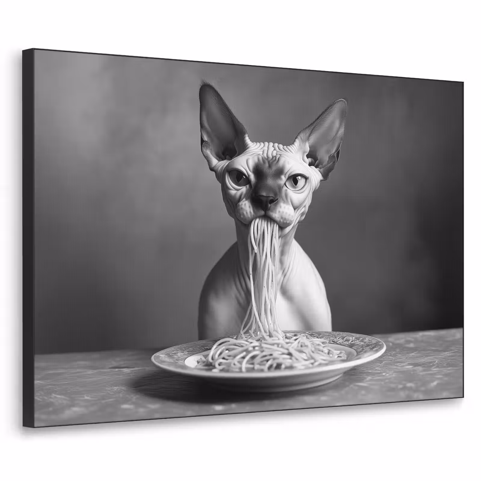 Art Frame - Sphynx - Kat - Dieren - Humor - Spaghetti - Zwart Wit — 1