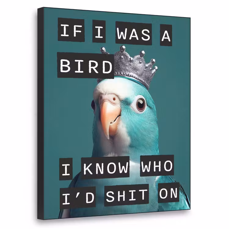 Art Frame - Parkiet - Turquoise - Quotes - Decoratie — 1