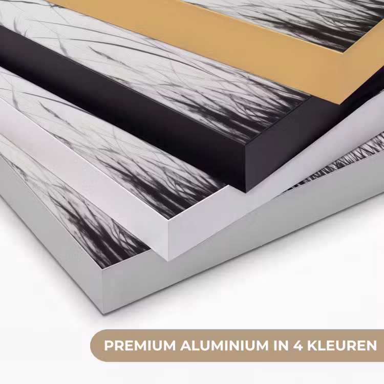 Art Frame - Kraanvogels - Gras - Hartvorm - Zwart — 2