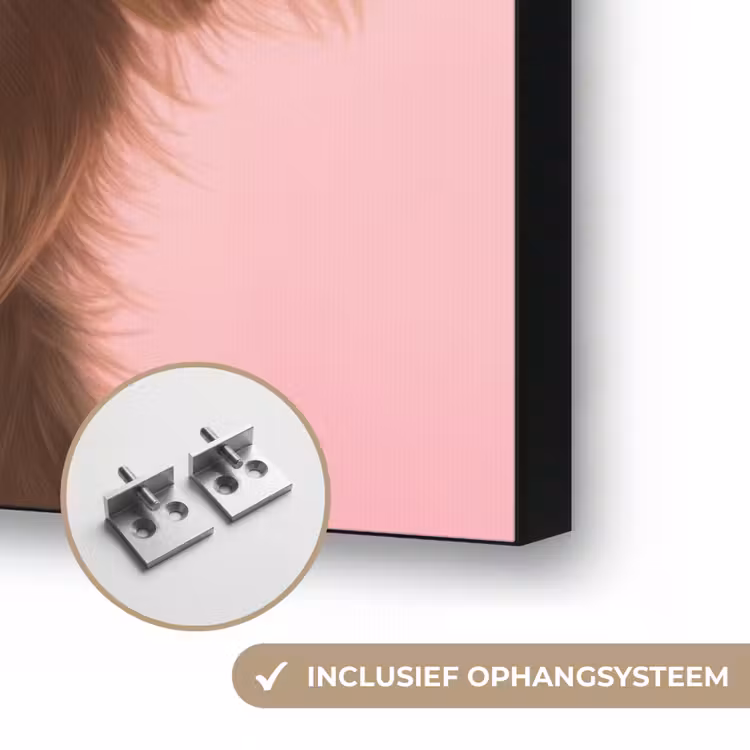 Art Frame - Zonnebril - Hartjes - Hond - Valentijn — 8