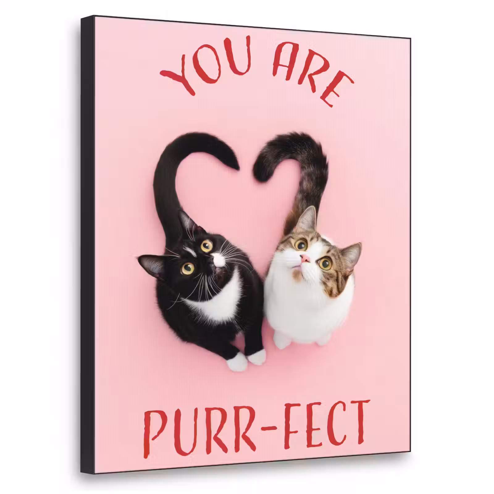 Art Frame - Kat - Hart - Tekst - Valentijn — 1