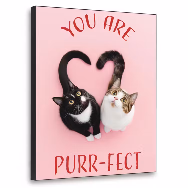 Art Frame - Kat - Hart - Tekst - Valentijn — 1