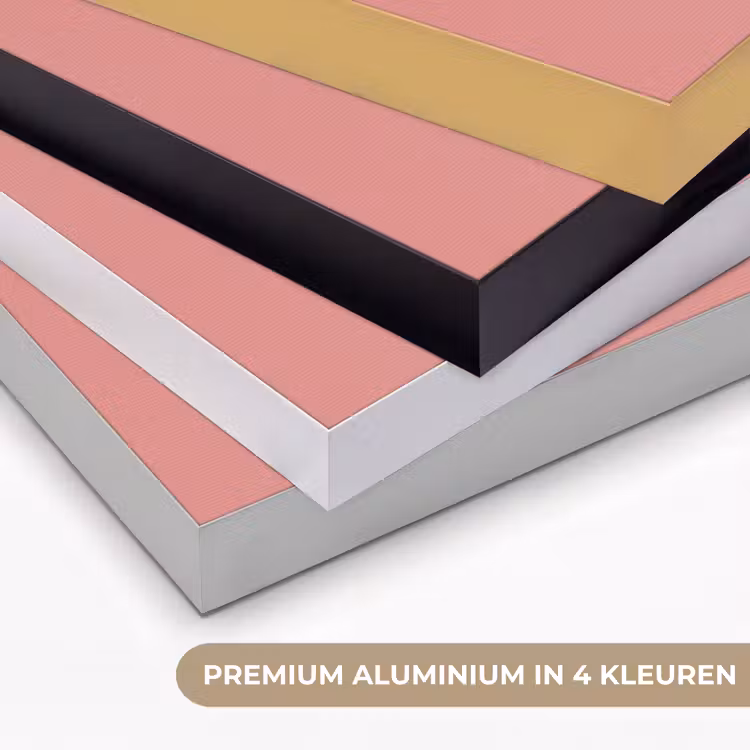 Art Frame - Duiven - Wit - Sierlijk — 2