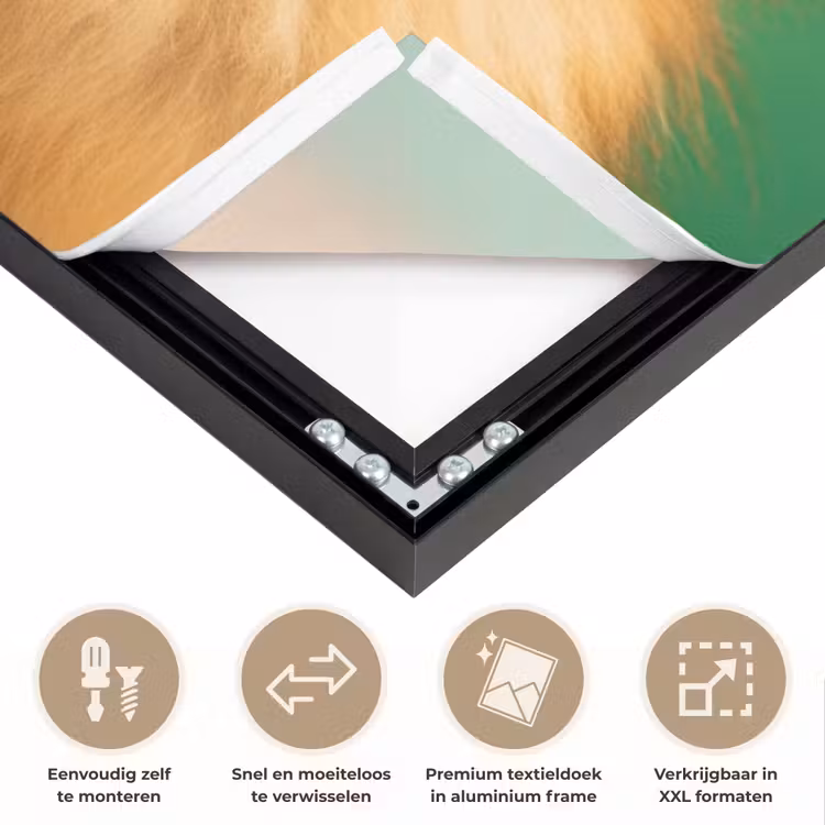 Art Frame - Hond - Zonnebril - Valentijn - Love — 5