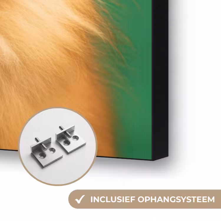 Art Frame - Hond - Zonnebril - Valentijn - Love — 8