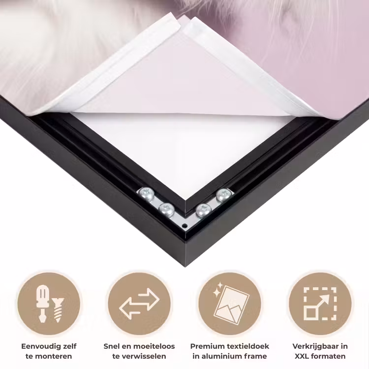 Art Frame - Kat - Love - Paars - Valentijn — 5