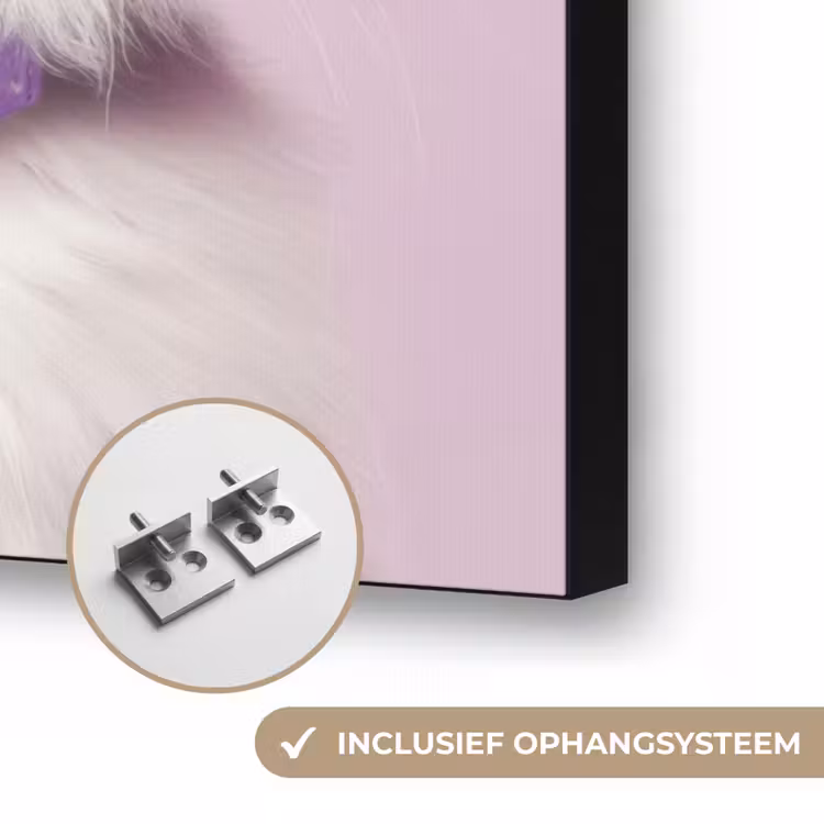 Art Frame - Kat - Love - Paars - Valentijn — 8