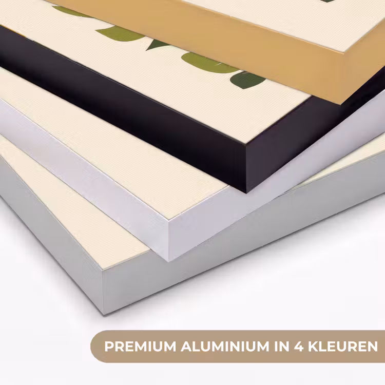 Art Frame - Bloemen - Speels - Kleurrijk — 2