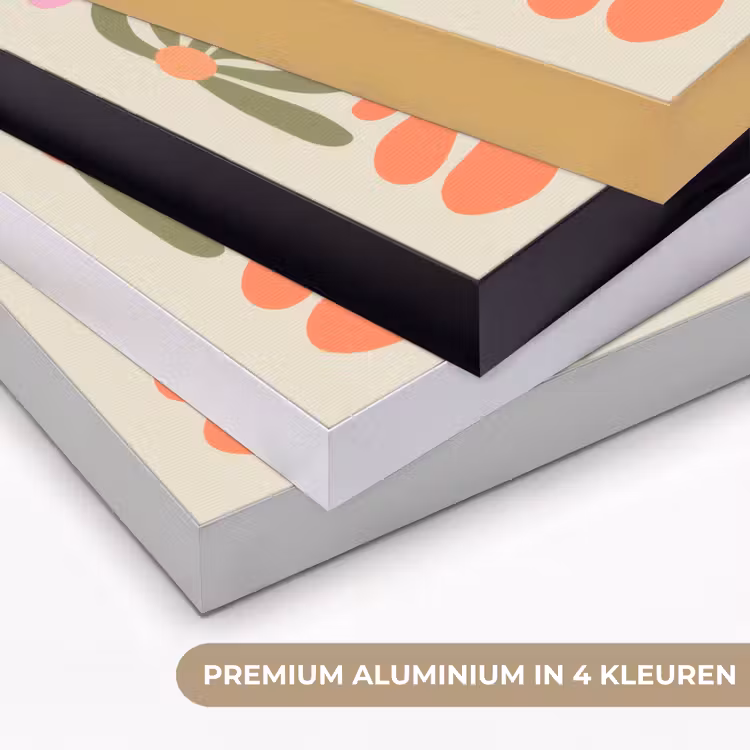 Art Frame - Bloemvormen - Retro - Kleurrijk — 2