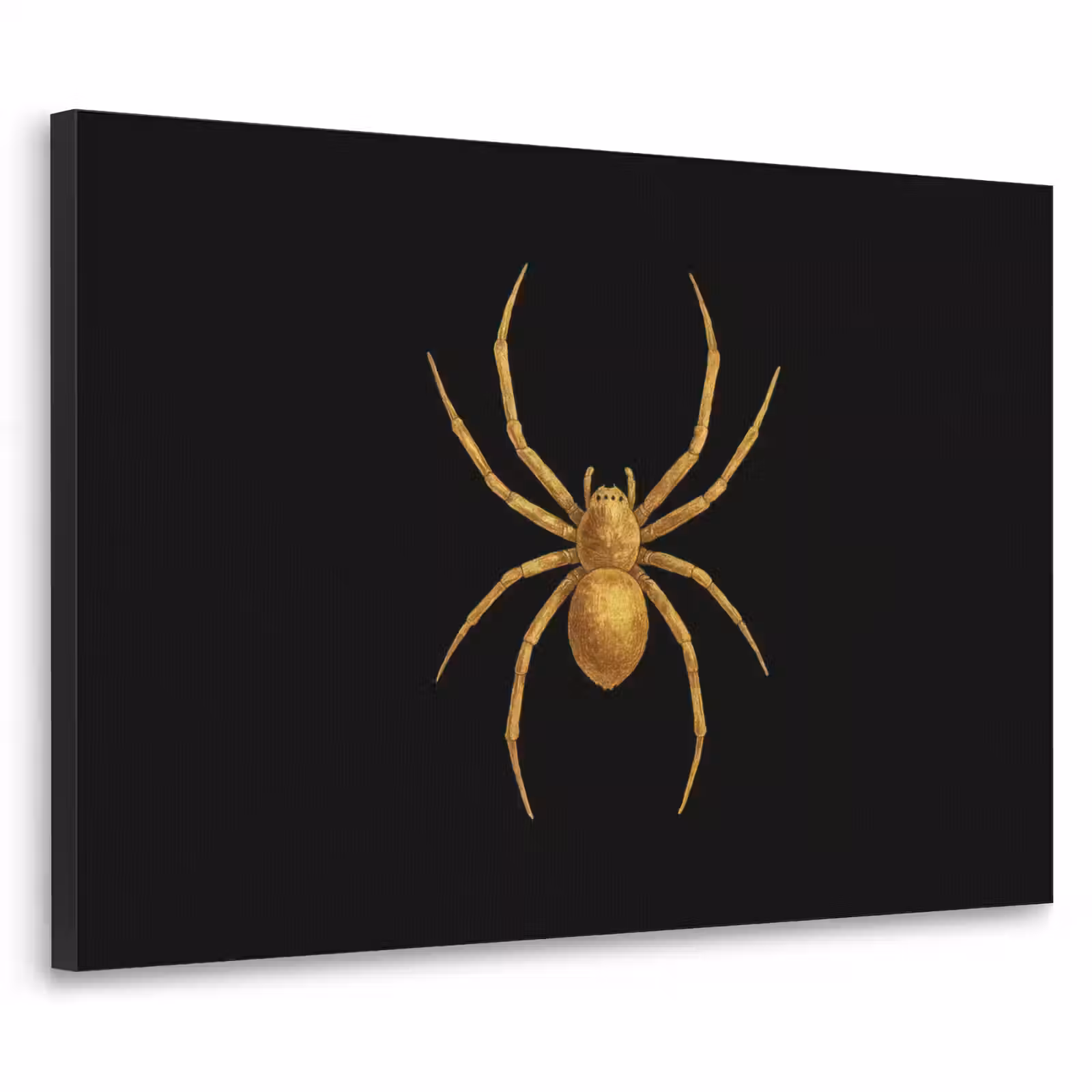 Art Frame - Spin - Goud - Minimalistisch - Poten — 1