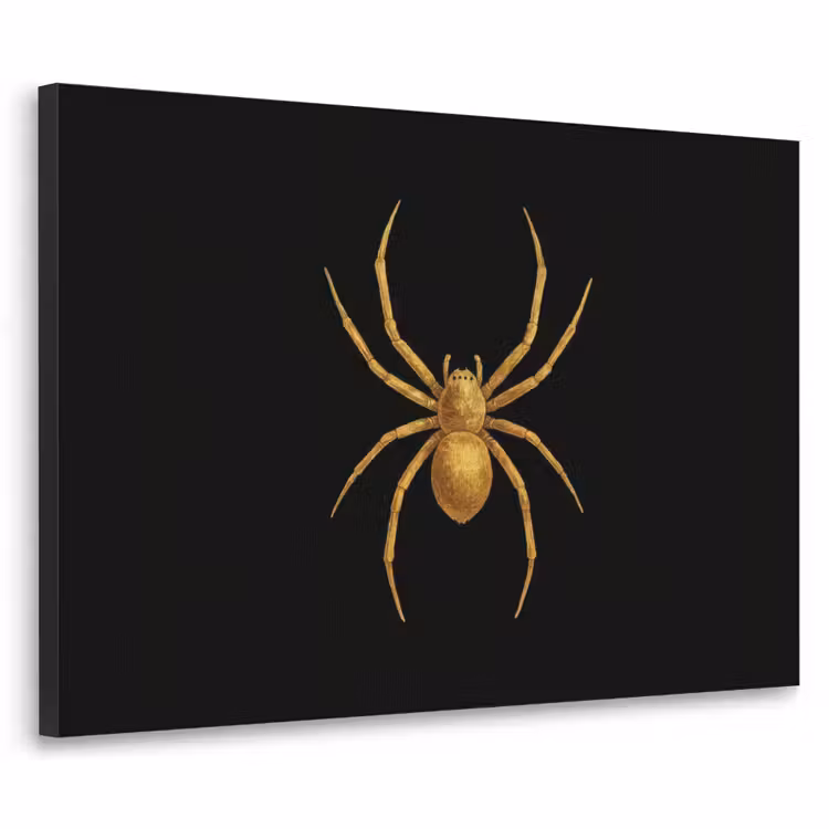 Art Frame - Spin - Goud - Minimalistisch - Poten — 1