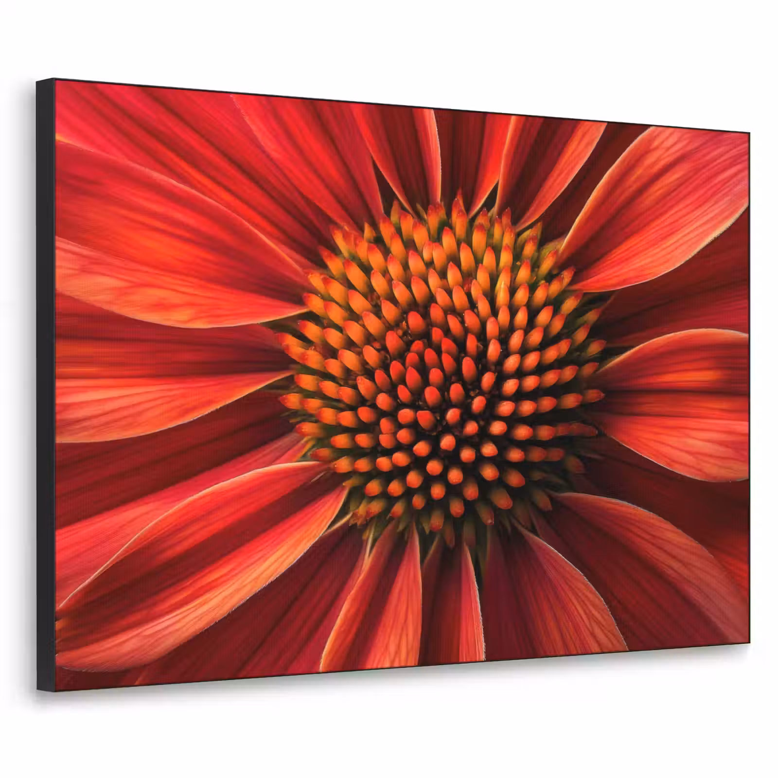 Art Frame - Close up - Bloem- Rood — 1