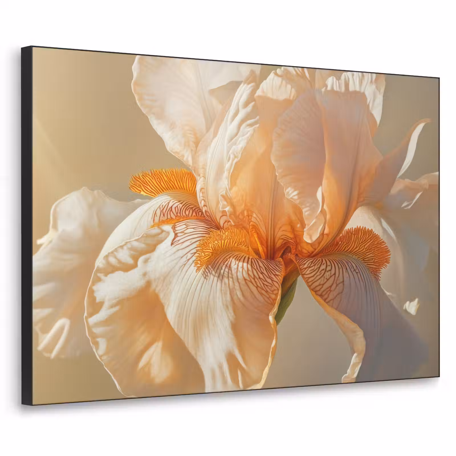 Art Frame - Close up - Oranje - Iris — 1