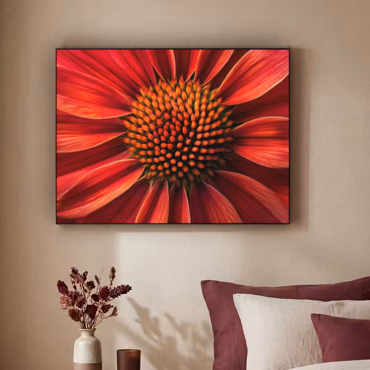 Art Frame - Close up - Bloem- Rood — 3