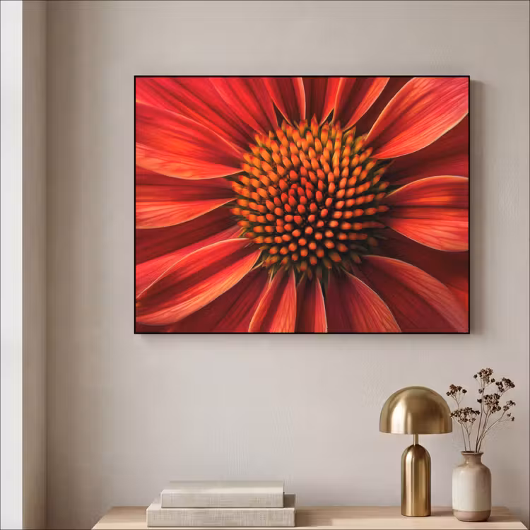 Art Frame - Close up - Bloem- Rood — 5