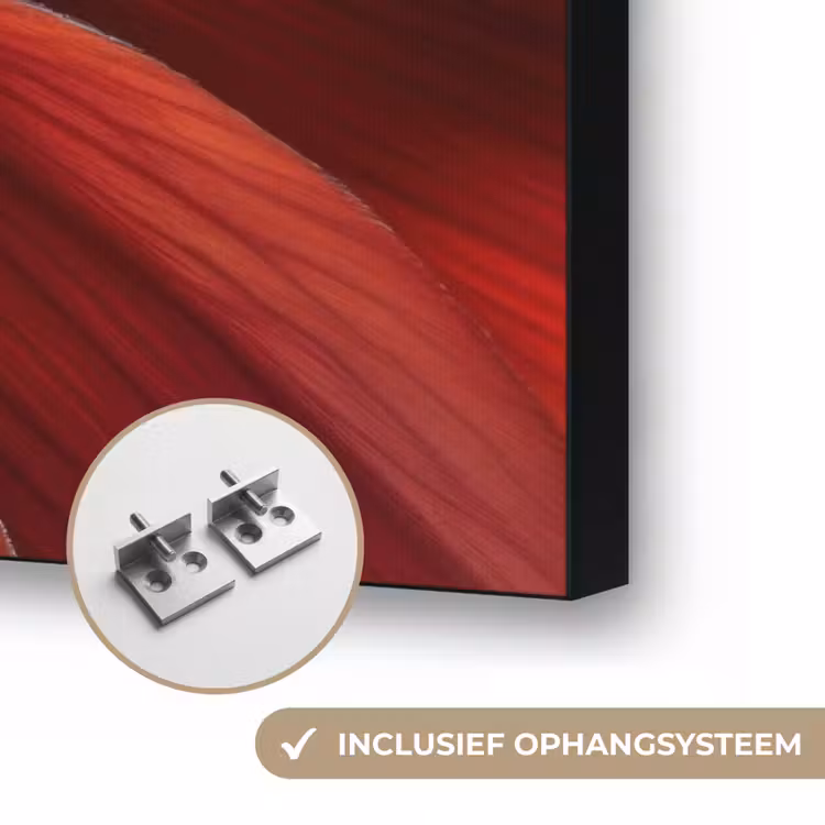 Art Frame - Close up - Bloem- Rood — 6