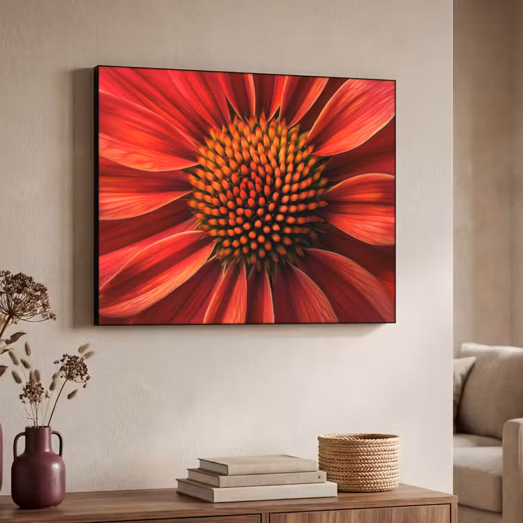 Art Frame - Close up - Bloem- Rood — 7