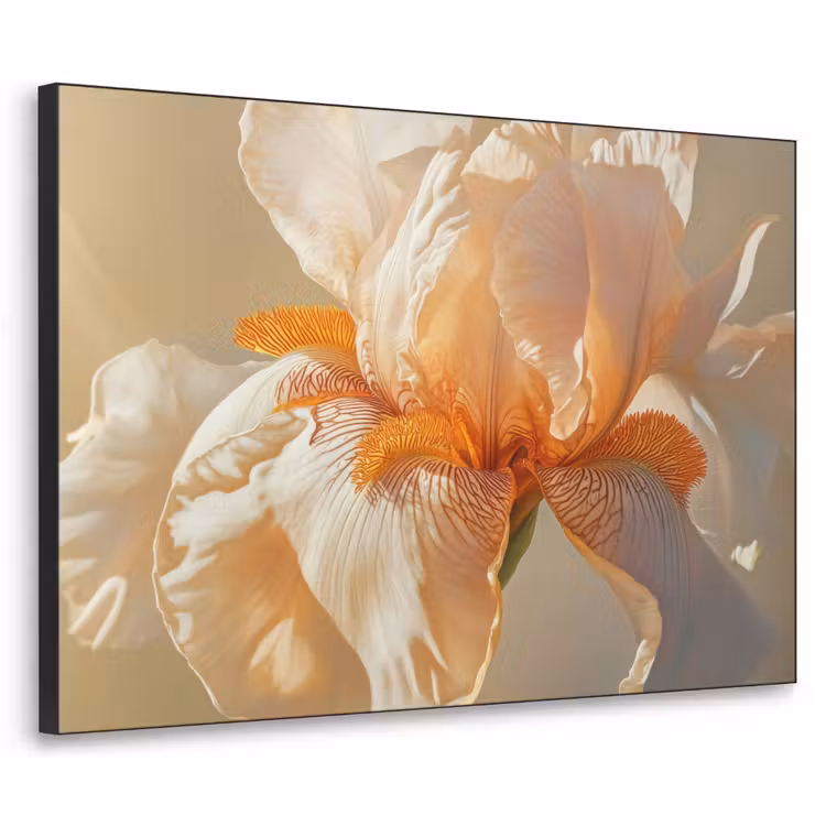 Art Frame - Close up - Oranje - Iris — 1