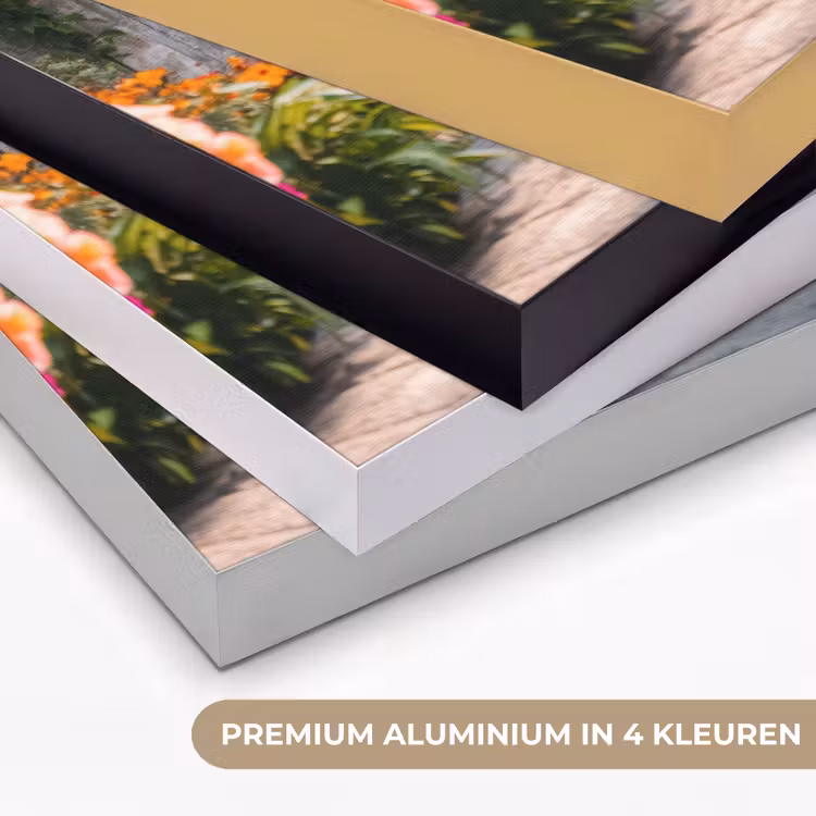 Art Frame - Doorkijk - Bloemen - Tropisch - Kleurrijk — 2