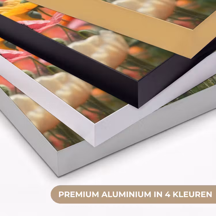 Art Frame - Bloemenveld - Klaprozen - Kleurrijk — 2