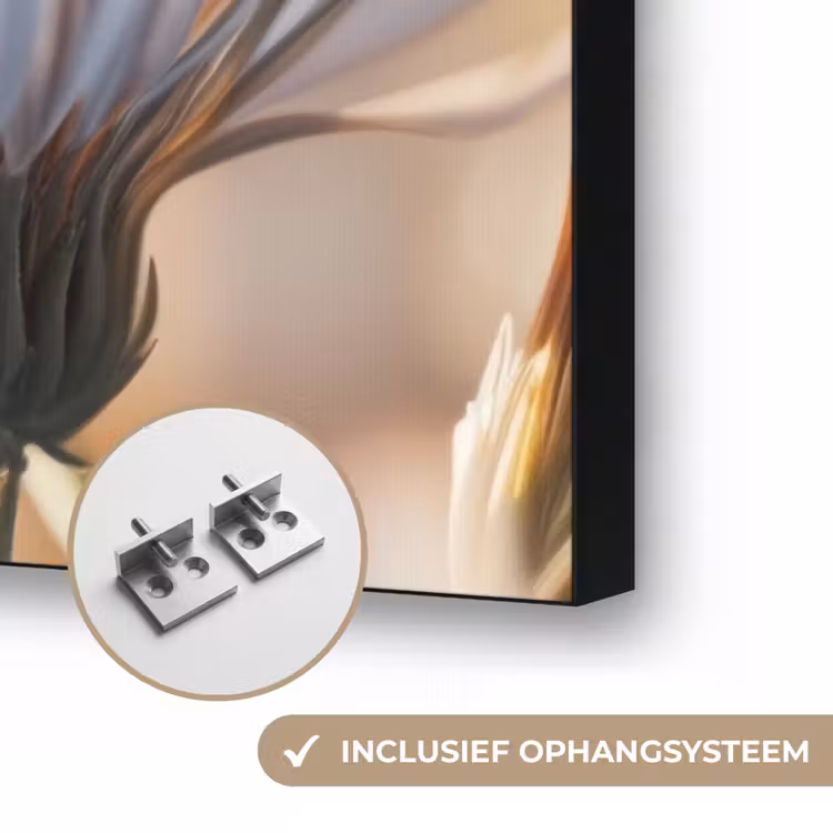 Art Frame - Vlinder - Bloem - Oranje — 6