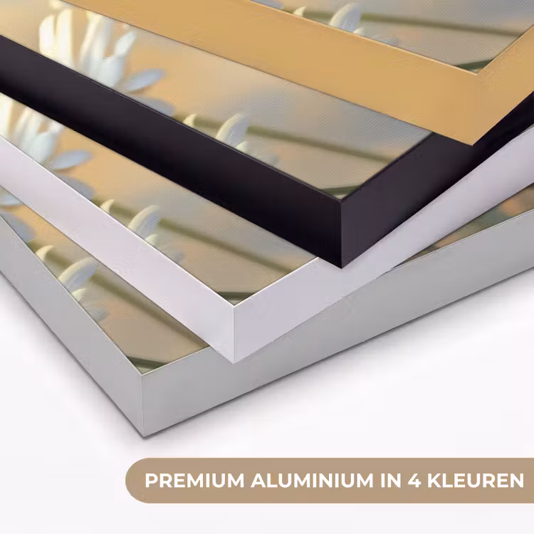 Art Frame - Madeliefjes - Wit - Zonlicht — 2