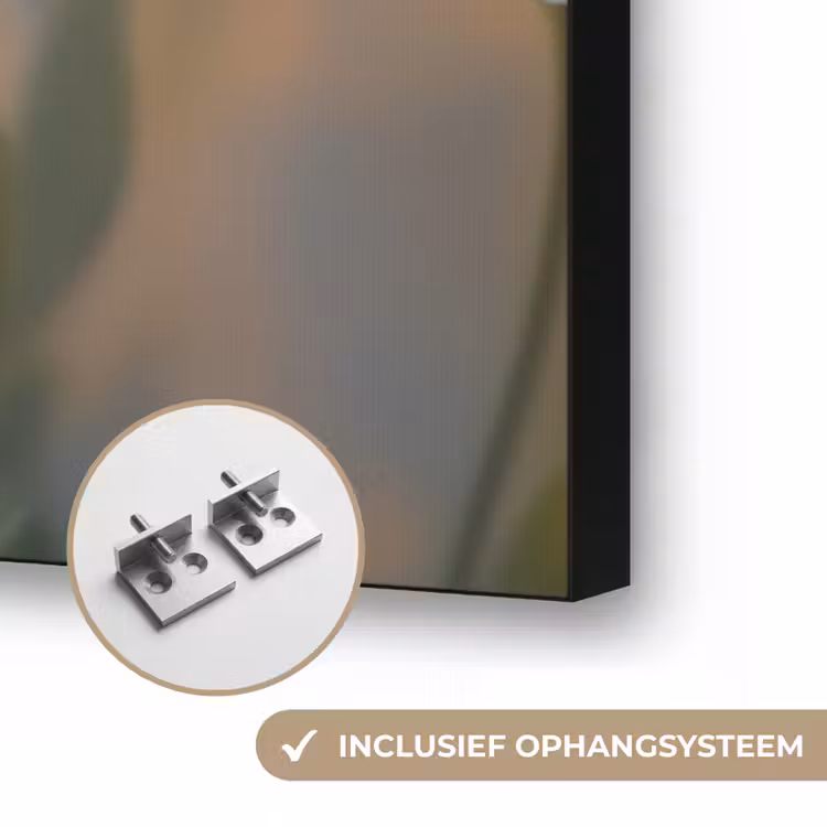 Art Frame - Madeliefjes - Wit - Zonlicht — 6