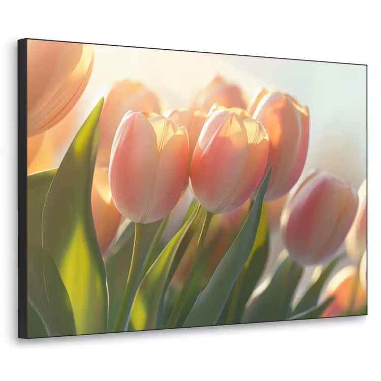 Art Frame - Tulpen - Roze - Zonnestralen — 1