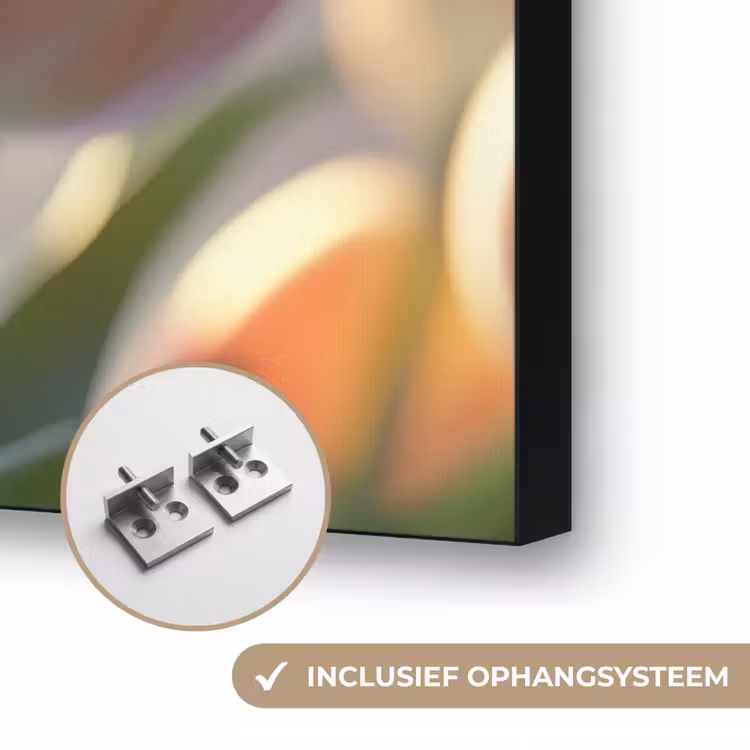 Art Frame - Tulpen - Roze - Zonnestralen — 6
