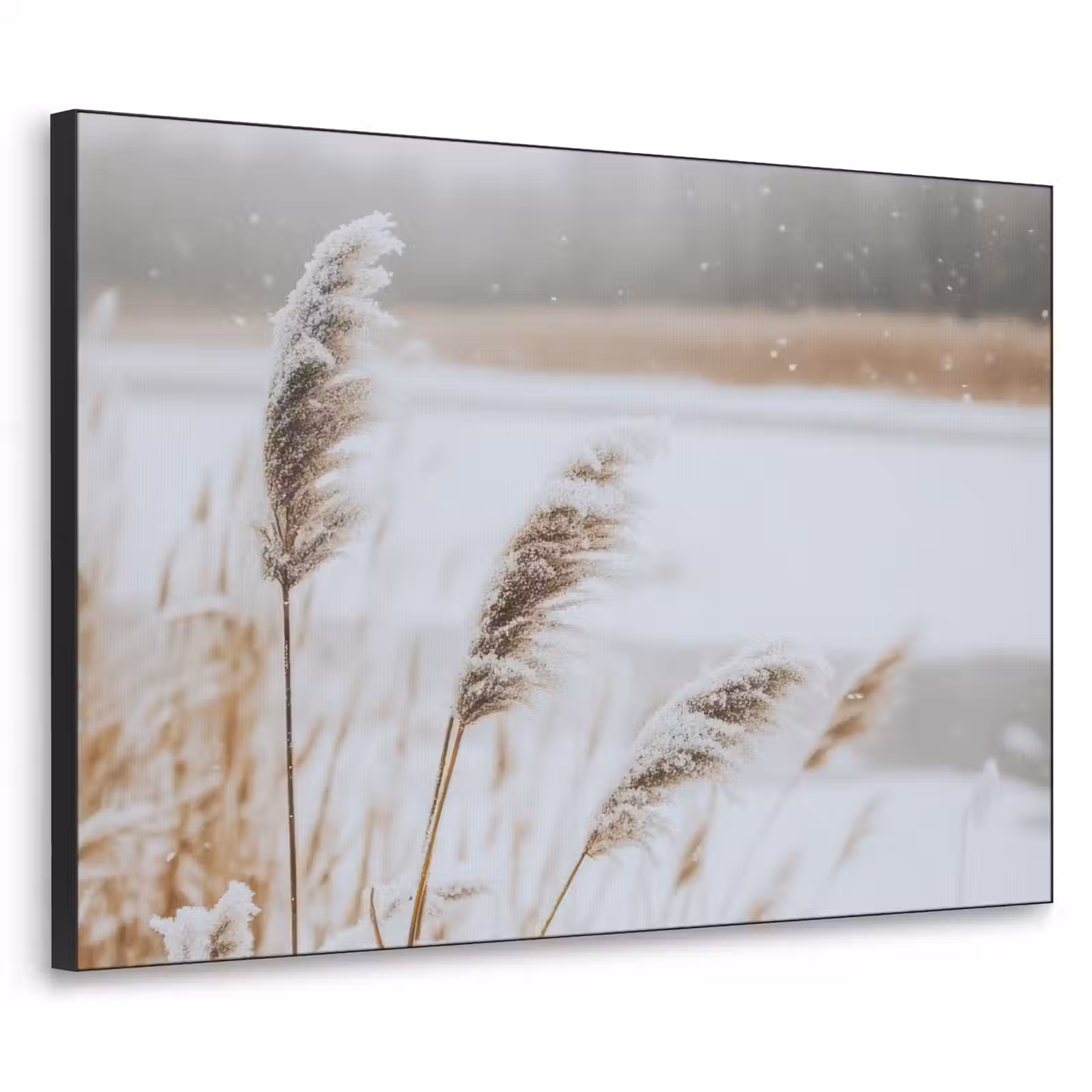 Art Frame - Riet - Meer - Winter - Natuur - Sneeuw - Beige — 1