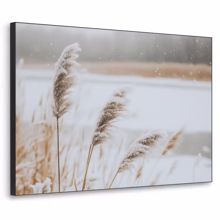 Art Frame - Riet - Meer - Winter - Natuur - Sneeuw - Beige — 1