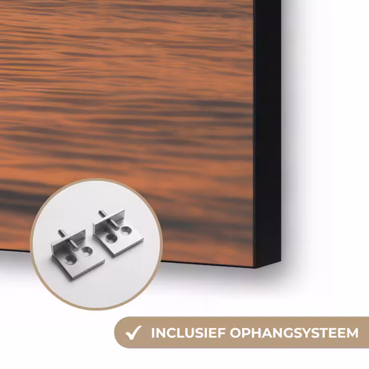 Art Frame - Dolfijnen - Zee - Realistisch — 6