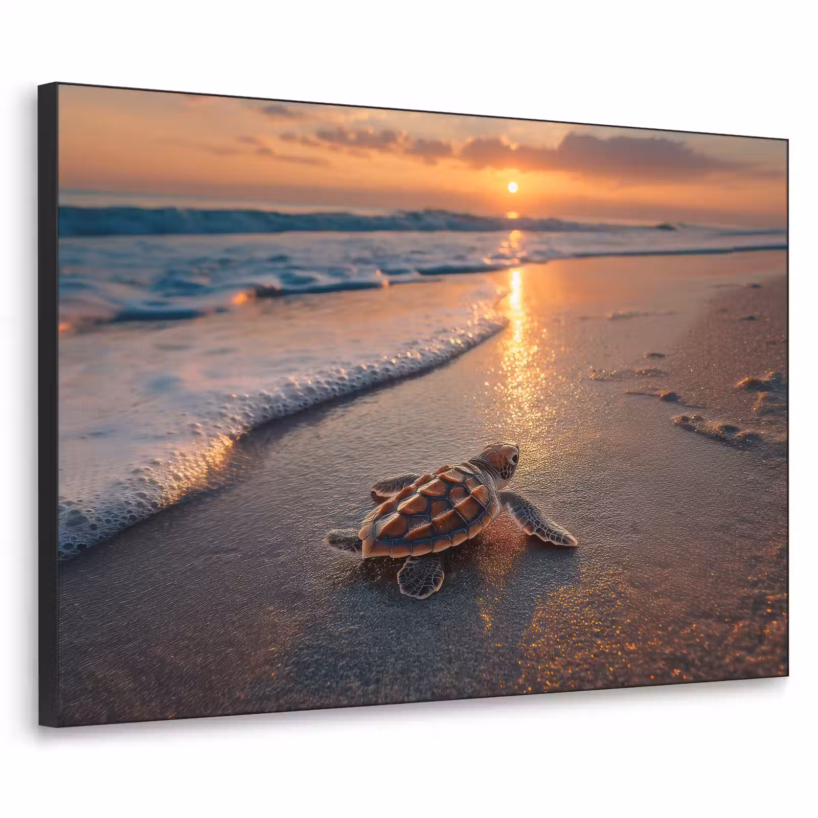 Art Frame - Schildpad - strand - Zonsondergang — 1