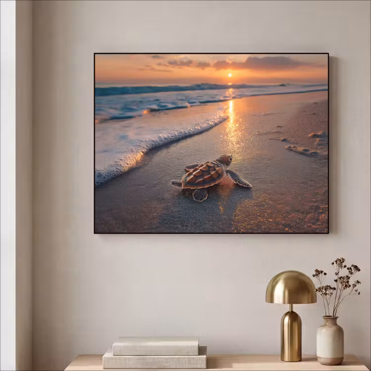 Art Frame - Schildpad - strand - Zonsondergang — 5