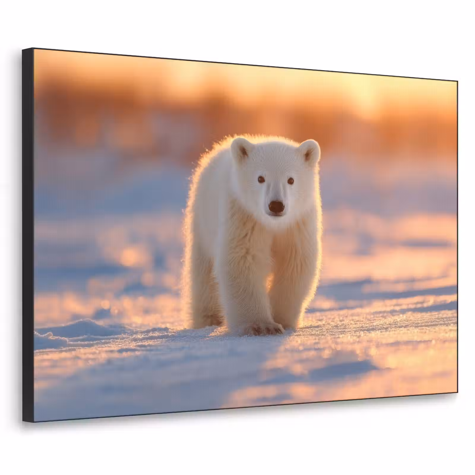 Art Frame - Ijsbeer - Sneeuw - Zonsopgang — 1