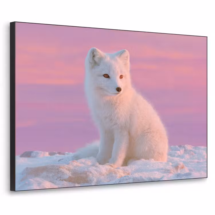Art Frame - Poolvos - Sneeuw - Roze — 1