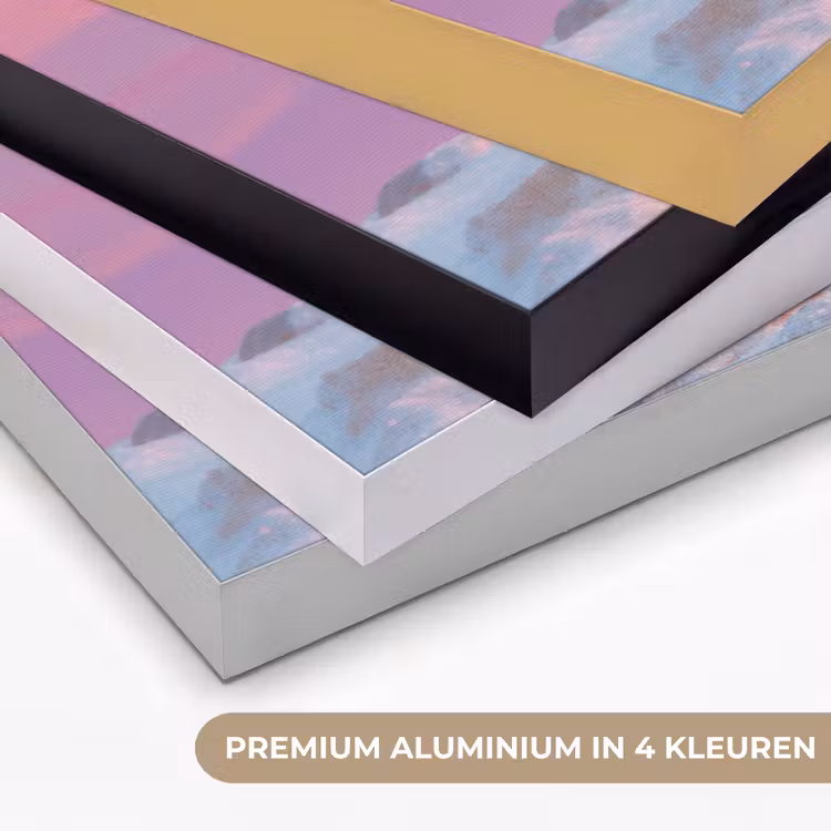 Art Frame - Poolvos - Sneeuw - Roze — 2
