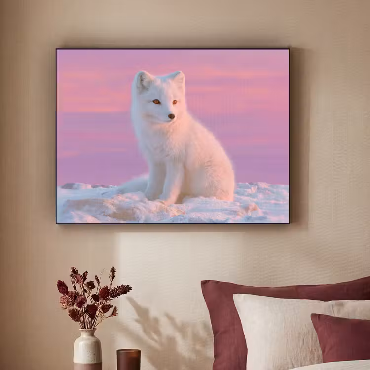 Art Frame - Poolvos - Sneeuw - Roze — 3