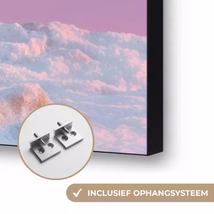 Art Frame - Poolvos - Sneeuw - Roze — 6