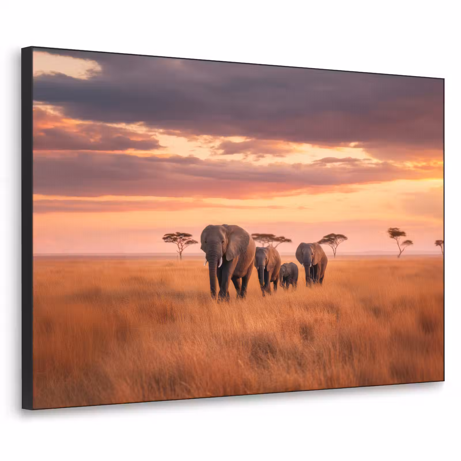 Art Frame - Groep olifanten - Open vlakte - Zon — 1
