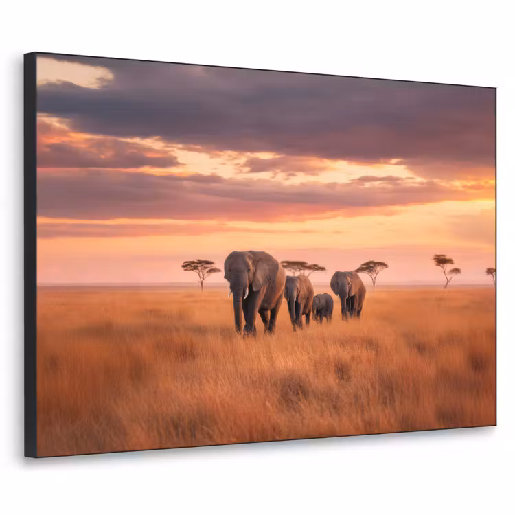 Art Frame - Groep olifanten - Open vlakte - Zon — 1