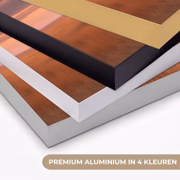 Art Frame - Groep olifanten - Open vlakte - Zon — 2