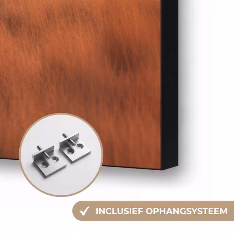 Art Frame - Groep olifanten - Open vlakte - Zon — 6