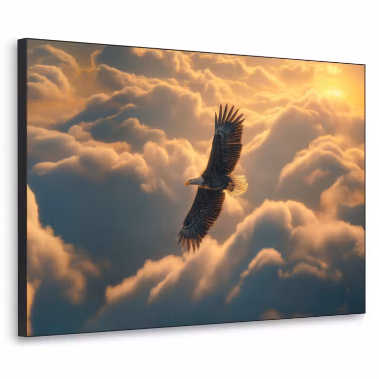 Art Frame - Adelaar - Wolken - Zon — 1