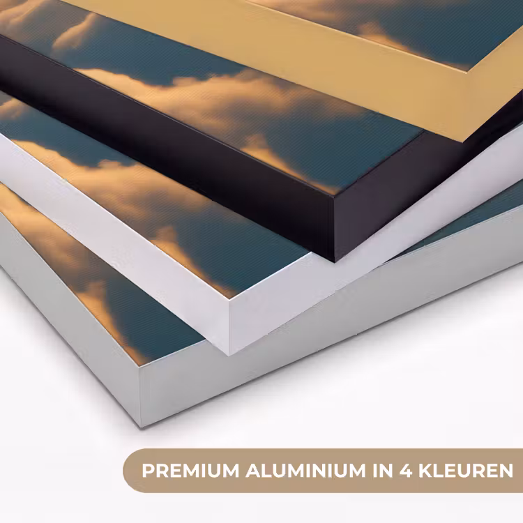 Art Frame - Adelaar - Wolken - Zon — 2