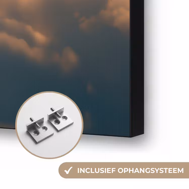 Art Frame - Adelaar - Wolken - Zon — 6