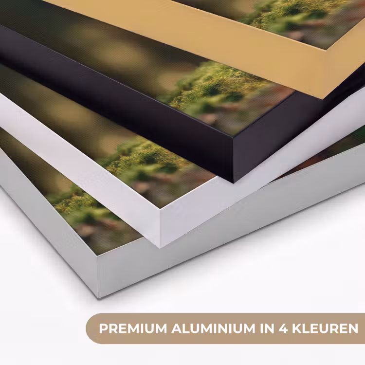 Art Frame - Eekhoorn - Nootje - Gras — 2