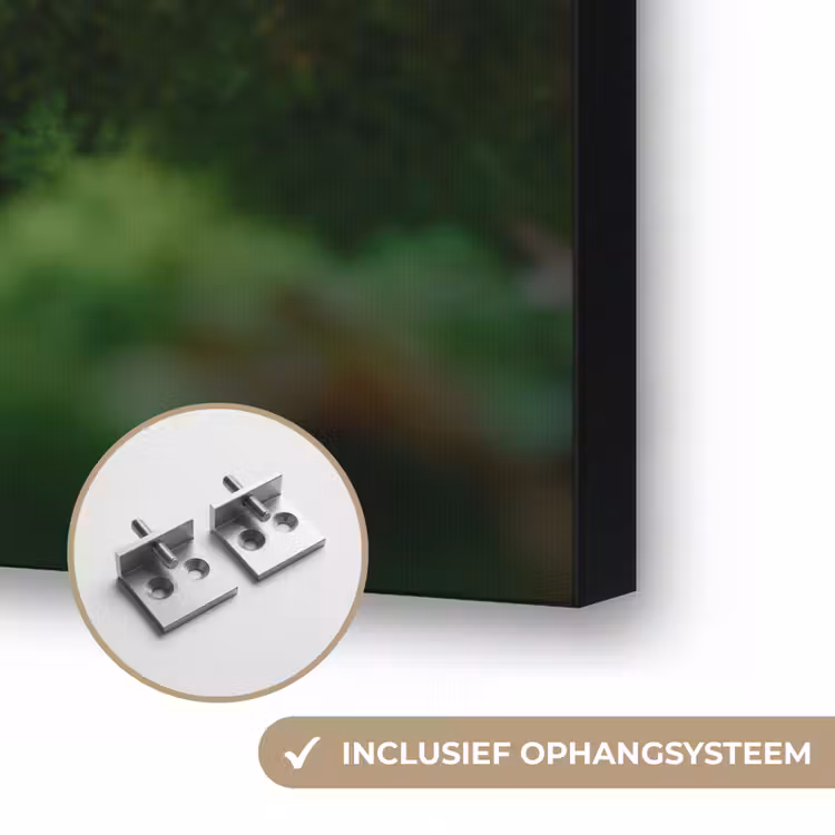 Art Frame - Eekhoorn - Nootje - Gras — 6
